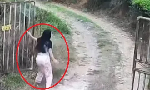 Đang ở nhà, người phụ nữ chết lặng khi thấy cảnh tượng "đáng sợ" ngay trước cổng