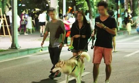 Không tiêm phòng dại, thả chó không rọ mõm: Mức phạt mới tăng gấp nhiều lần