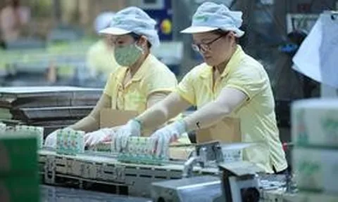 Chủ thương hiệu sữa đậu nành Vinasoy lãi gần 1.000 tỷ đồng, sắp chi hơn 367 tỷ đồng cổ tức