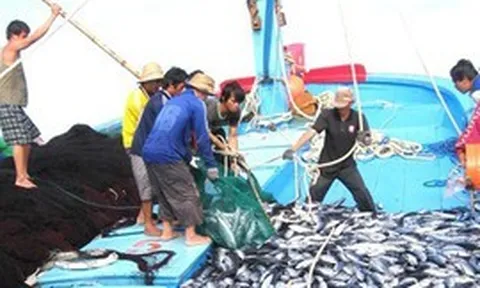 Kế hoạch khắc phục khuyến nghị của EC về chống khai thác IUU