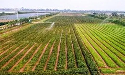 Hà Nội: Xây dựng dữ liệu đất đai đi trước một bước, tạo nền tảng quản trị hiện đại