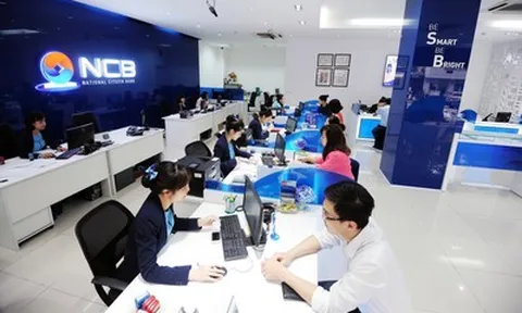 NCB muốn phát hành riêng lẻ 3,3 tỷ cổ phiếu, tăng vốn lên hơn 62.000 tỷ đồng