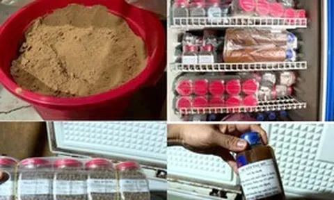 "Thần y" học hết lớp 7 tự chế thuốc chữa bệnh, lừa đảo khoảng 1 tỷ đồng