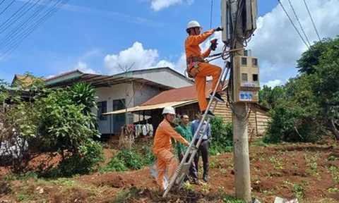 Điện lực Lâm Đồng vượt nhiều chỉ tiêu 6 tháng đầu năm, bảo đảm điện cho phát triển kinh tế - xã hội