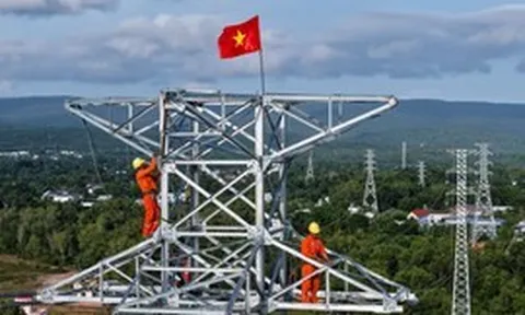 Điện lực miền Nam: Vượt khó để "về đích" 3 công trình trọng điểm phục vụ APEC 2027