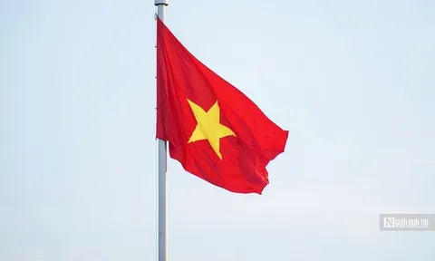 Tản mạn Tổ quốc và Tết Độc lập