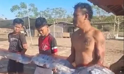 Đang đi dạo biển, người dân bỗng thấy cảnh tượng "nổi da gà" trước mặt