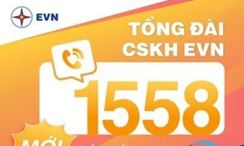 Điện lực miền Nam cảnh báo khách hàng về các thủ đoạn giả mạo, lừa đảo