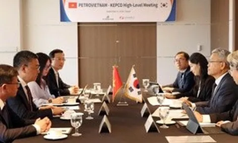 Petrovietnam và Kepco thúc đẩy hợp tác triển khai các dự án điện hạt nhân