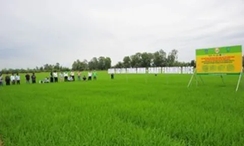 Từ mái nhà máy đến ruộng vườn: Hành trình chuyển đổi xanh toàn diện của Phân bón Bình Điền