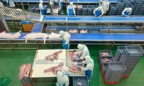 Hà Nội xóa bỏ giết mổ nhỏ lẻ, kiểm soát hơn 90.000 gia súc, gia cầm mỗi ngày
