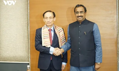 Bộ trưởng Lê Hoài Trung gặp Phó Chủ tịch Đảng Nhân dân Ấn Độ BJP