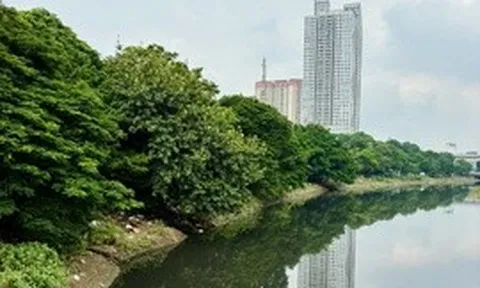 Không thể quản lý lưu vực sông bằng sự "phân tách"