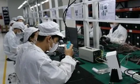 Kêu gọi đề xuất nhiệm vụ đổi mới công nghệ ứng dụng AI, tài trợ tối đa 3 tỷ đồng