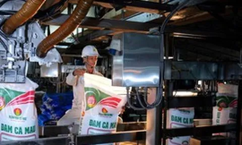 PVCFC: Mở rộng ngành nghề kinh doanh và hoàn thiện mô hình quản trị