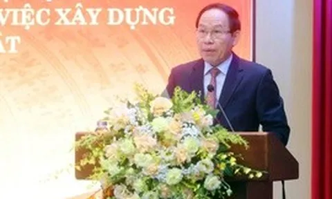 Tổ chức thi hành pháp luật chuyên nghiệp, ổn định, thích ứng linh hoạt với thực tiễn