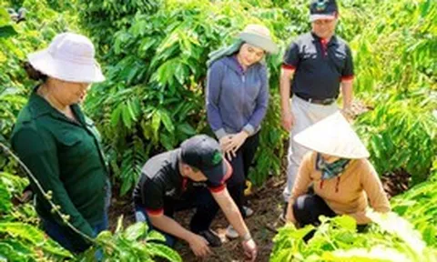 Từ EUDR đến cơ hội nâng giá trị cà phê Việt