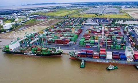 Dư nợ vượt 6.500 tỷ đồng, Viconship tiếp tục vay thêm hàng nghìn tỷ đồng