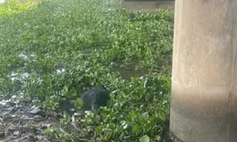 Phát hiện thi thể nam giới dưới chân cầu Bình Phước