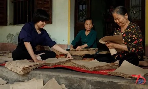 Liên hoan Phim Tài liệu Châu Âu - Việt Nam: Thúc đẩy giao lưu văn hóa, nghệ thuật