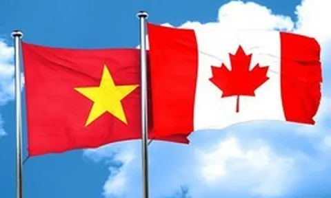 Thương mại Việt Nam – Canada khởi sắc, dư địa hợp tác vẫn rộng mở