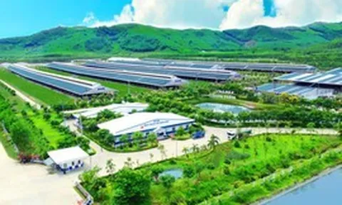 Vinamilk: "Đạt chuẩn" chưa phải là điểm dừng