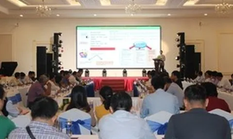 Từ văn bằng đến thị trường: Cần Thơ gỡ nút thắt thương mại hóa tài sản trí tuệ