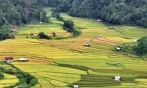 Tháo gỡ vướng mắc đất ở, đất sản xuất cho đồng bào dân tộc thiểu số