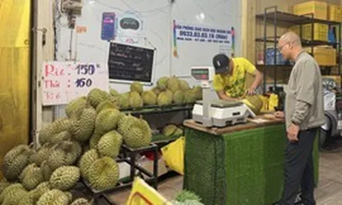 Giữ chất lượng, giữ thị trường sầu riêng