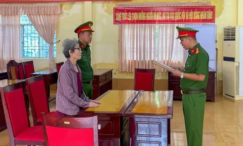 Bán đất 20 tỷ đồng nhưng khai 5 tỷ, cụ bà bị khởi tố