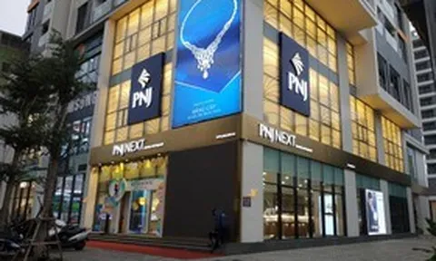 PNJ dự kiến lỗ hơn 6.200 tỷ đồng năm 2026, cổ tức tiền mặt về 0%
