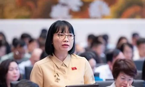 ĐBQH: Giá điện hợp lý không đồng nghĩa với giá điện thấp bằng mọi cách