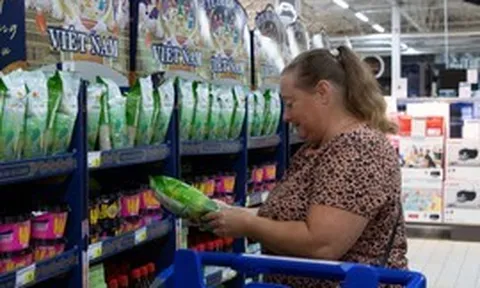 Lưu ý cho doanh nghiệp Việt khi EU 'siết' quy định về môi trường
