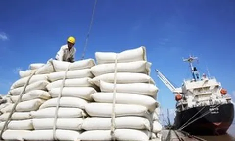 Từ 1/10, điều kiện kinh doanh xuất khẩu gạo thay đổi thế nào?