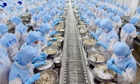 Sửa đổi, bổ sung 3 thủ tục hành chính về thủy sản, kiểm ngư