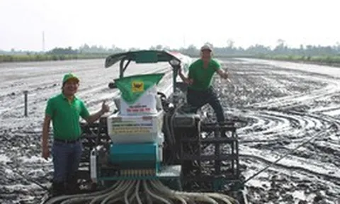 Hiệu quả mô hình lúa-tôm và sức khỏe đất sau mỗi mùa vụ