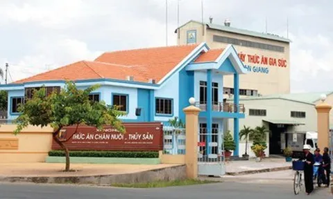 Afiex lên kế hoạch tăng vốn, “giải bài toán” nguồn lực tài chính