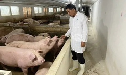 Chăn nuôi an toàn: Thu hẹp khoảng cách từ “biết” đến “làm”