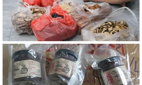 Lang vườn và bác sĩ mạng