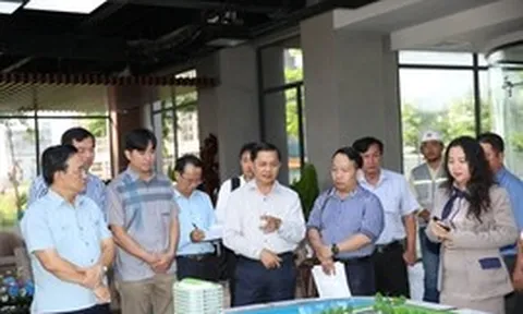 Vĩnh Long mở 'cao điểm 90 ngày', giao từng Phó Chủ tịch đôn đốc giải ngân đầu tư công