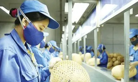 Hướng dẫn quản lý, sử dụng kinh phí khuyến công