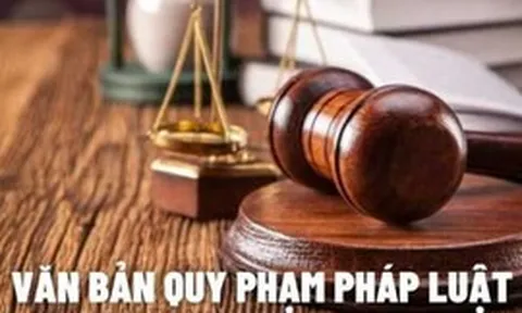 Chính phủ thống nhất nội dung dự án Luật Văn bản quy phạm pháp luật
