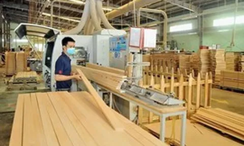 Thị trường gỗ nội địa cần một "luật chơi" minh bạch
