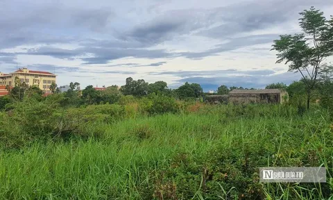 Dự án 440 tỷ đồng "bất động" vì chậm GPMB, Chủ tịch UBND tỉnh Quảng Trị ấn định thời hạn xử lý