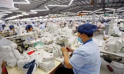 Tận dụng CPTPP: Không thể chờ thị trường biến động mới tìm đường chuyển hướng