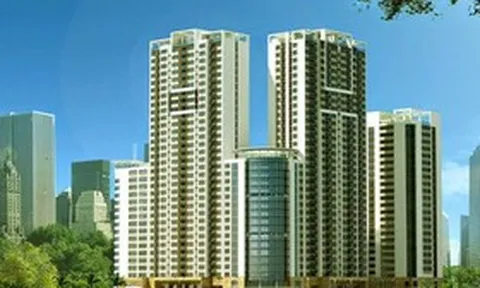 TLD sắp phát hành gần 3,9 triệu cổ phiếu trả cổ tức