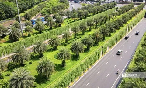 Hà Nội thí điểm phủ xanh trụ đường sắt trên cao, hầm chui và nhà chờ xe buýt