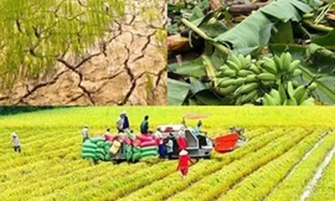 Chính sách mới có hiệu lực từ tháng 10/2026