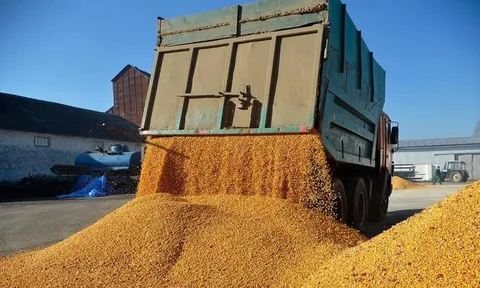Phản ứng của Ukraine khi mặt hàng chủ lực có nguy cơ bị áp hạn chế vĩnh viễn ở EU