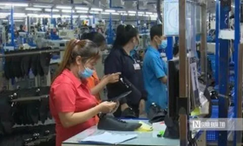 1,6 triệu thanh niên Việt Nam rơi vào nhóm "3 không" trong quý III/2026